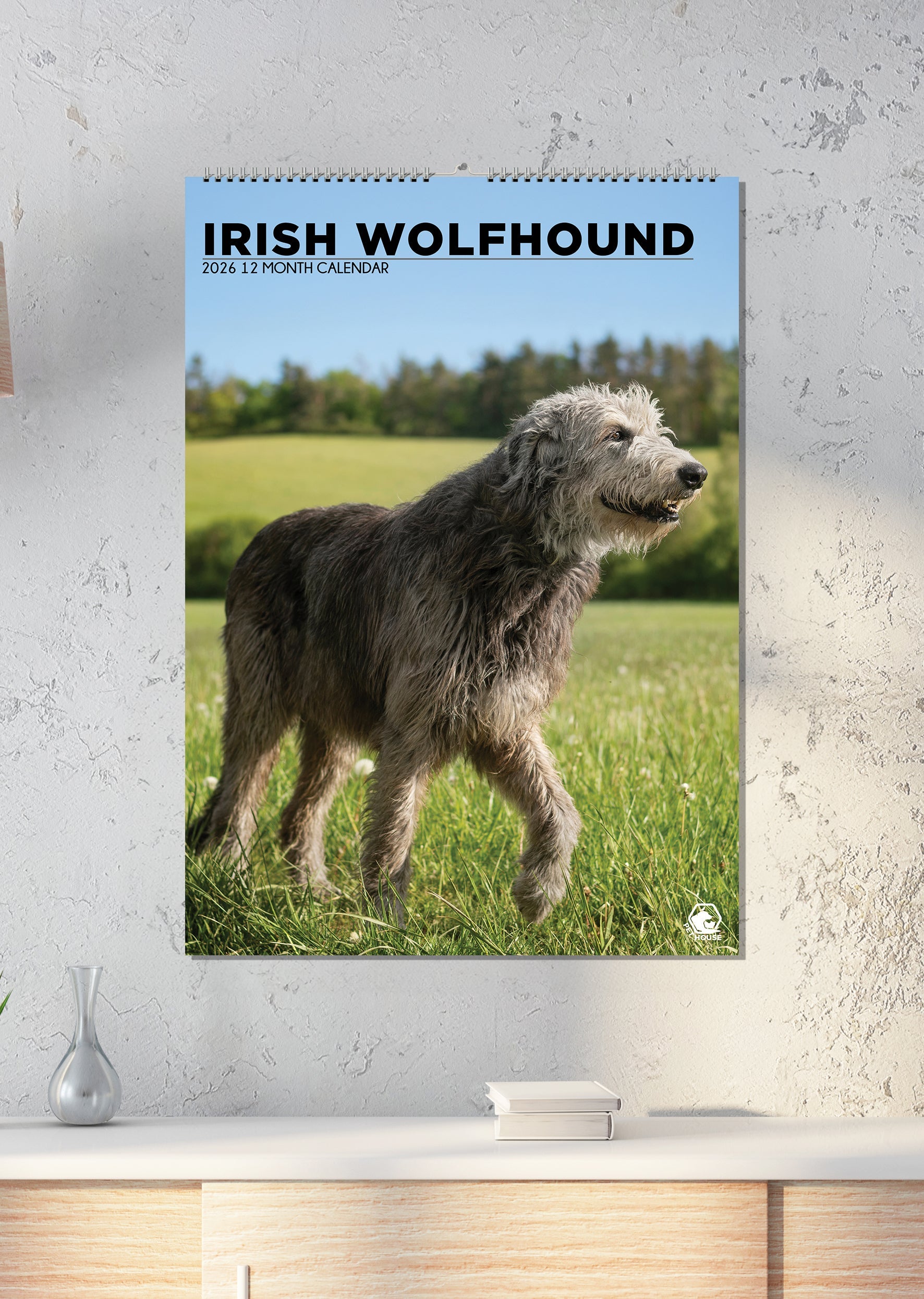 Irish Wolfhound A3 Calendar 2025 Buy? Order easily and