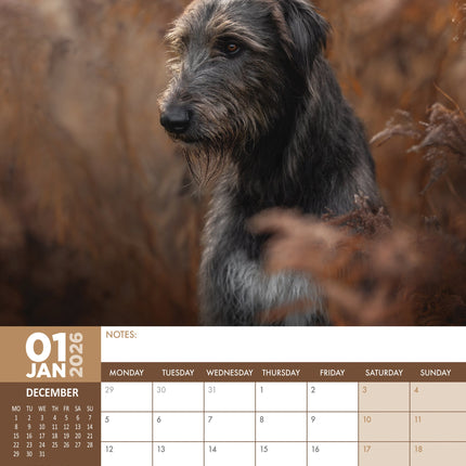 CalendarsRUs Ierse Wolfshond A3 Kalender 2026