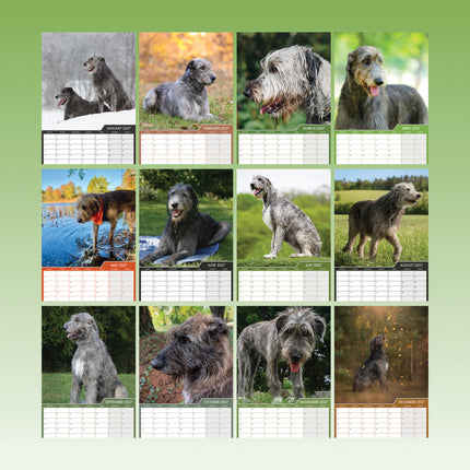 CalendarsRUs Ierse Wolfshond A3 Kalender 2027