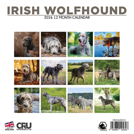 CalendarsRUs Ierse Wolfshond Kalender 2026