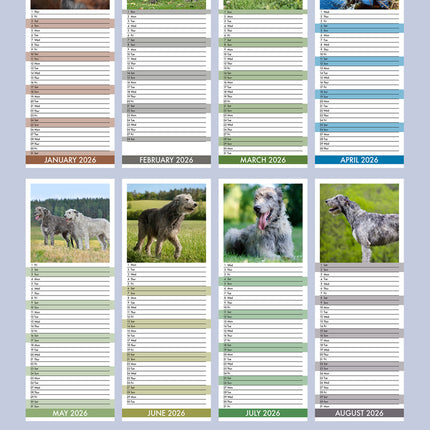 CalendarsRUs Ierse Wolfshond Slimline Kalender 2026