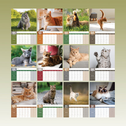 CalendarsRUs Katten A3 Kalender 2026