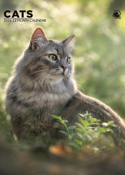 CalendarsRUs Katten A3 Kalender 2026