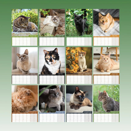 CalendarsRUs Katten A3 Kalender 2027