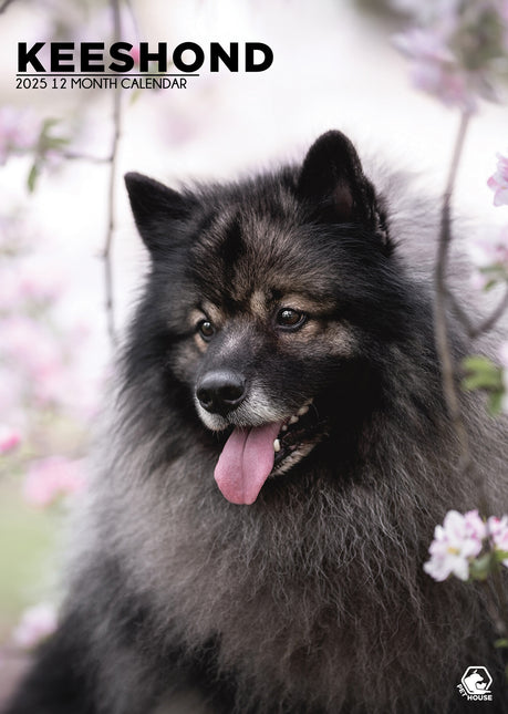 CalendarsRUs Keeshond A3 Kalender 2025