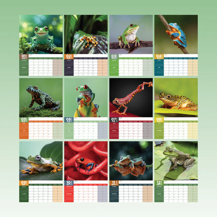 CalendarsRUs Kikker A3 Kalender 2026