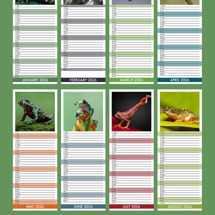 CalendarsRUs Kikkers Slimline Kalender 2026