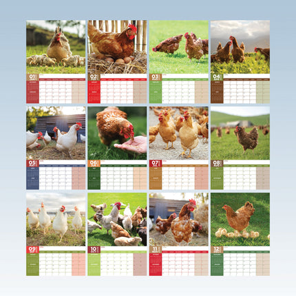 CalendarsRUs Kippen A3 Kalender 2026