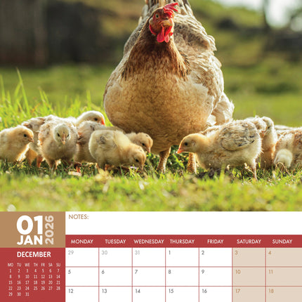 CalendarsRUs Kippen A3 Kalender 2026
