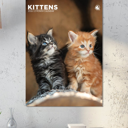 CalendarsRUs Kittens A3 Kalender 2026