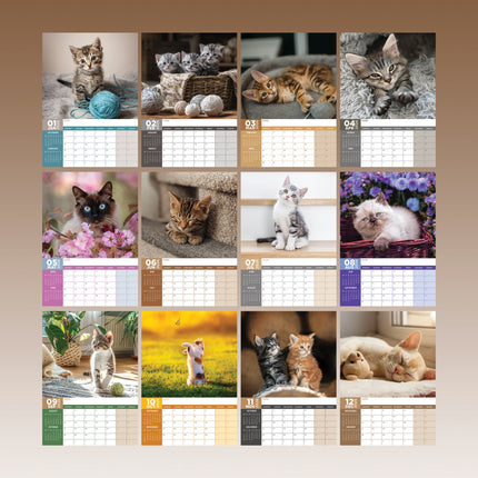 CalendarsRUs Kittens A3 Kalender 2027