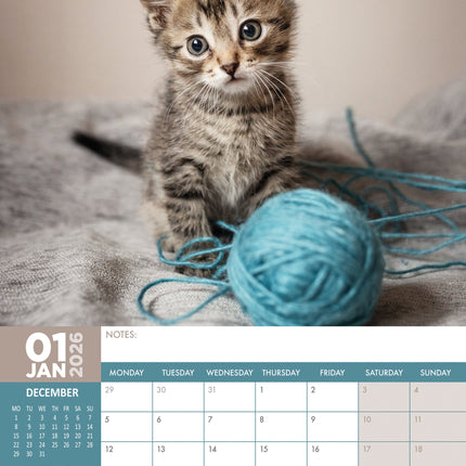 CalendarsRUs Kittens A3 Kalender 2027