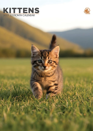 CalendarsRUs Kittens A3 Kalender 2027