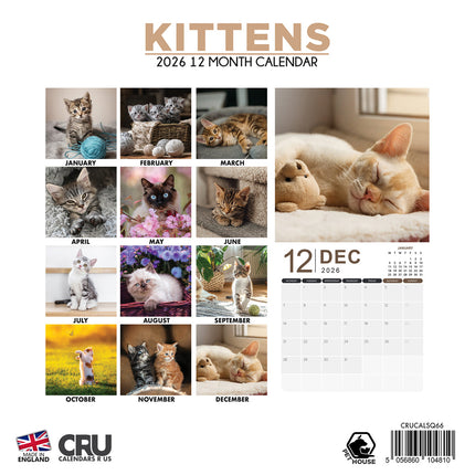 CalendarsRUs Kittens Kalender 2026
