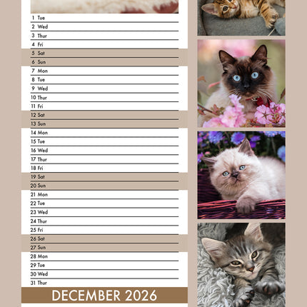 CalendarsRUs Kittens Slimline Kalender 2026