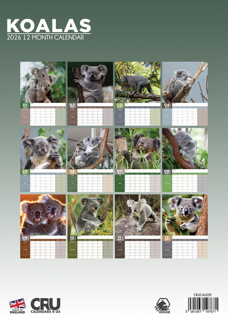 CalendarsRUs Koala A3 Kalender 2026