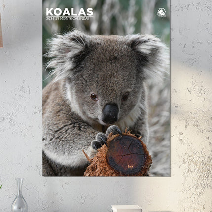 CalendarsRUs Koala A3 Kalender 2026