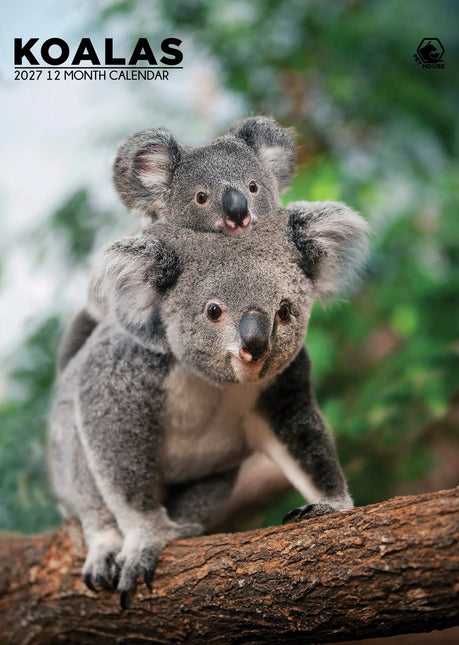 CalendarsRUs Koala A3 Kalender 2027