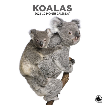CalendarsRUs Koala Kalender 2027