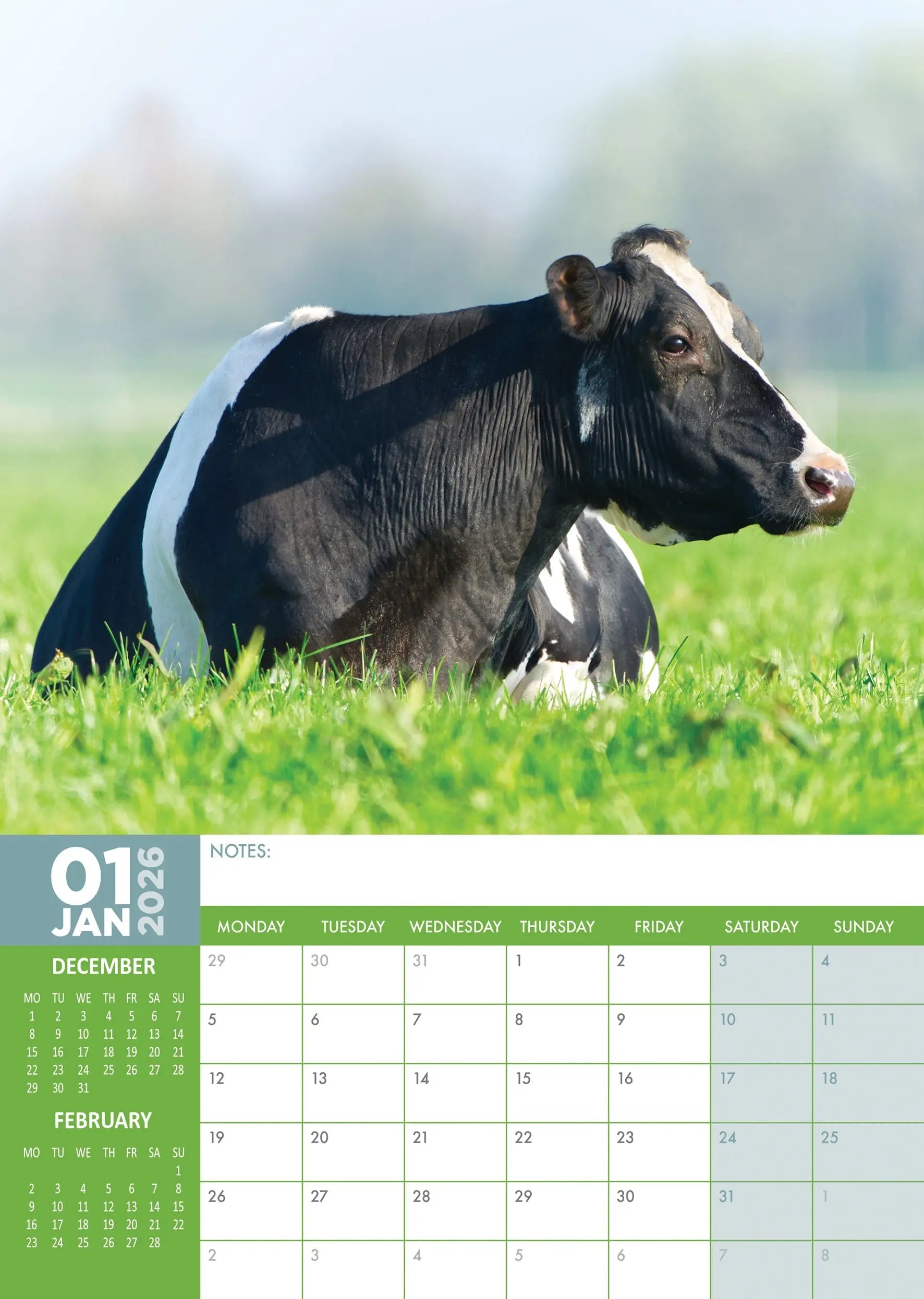 Baby Dieren A3 Kalender 2026 met 12 Schattige Beelden Baby Dieren A3 Kalender 2026 met 12 Schattige Beelden