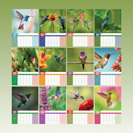 CalendarsRUs Kolibrie A3 Kalender 2026
