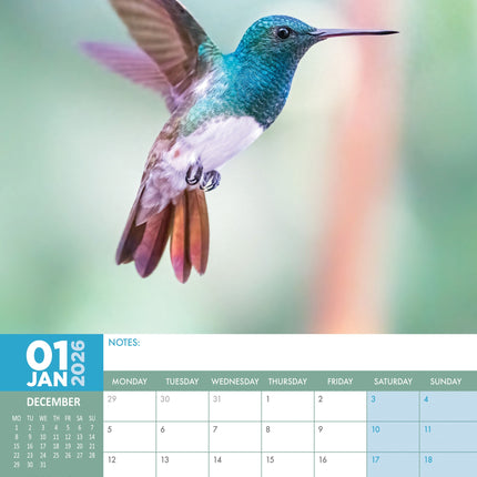 CalendarsRUs Kolibrie A3 Kalender 2026