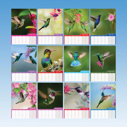 CalendarsRUs Kolibrie A3 Kalender 2027