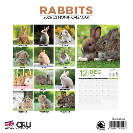 CalendarsRUs Konijnen Kalender 2026
