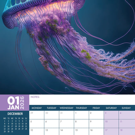 CalendarsRUs Kwallen A3 Kalender 2026