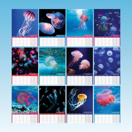 CalendarsRUs Kwallen A3 Kalender 2027