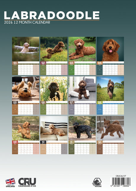 CalendarsRUs Labradoodle A3 Kalender 2026