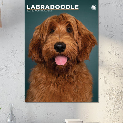 CalendarsRUs Labradoodle A3 Kalender 2026