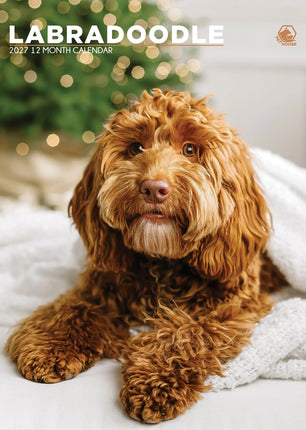 CalendarsRUs Labradoodle A3 Kalender 2027