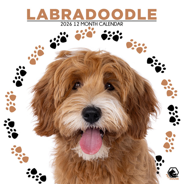CalendarsRUs Labradoodle Kalender 2026