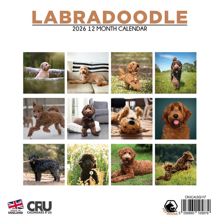 CalendarsRUs Labradoodle Kalender 2026
