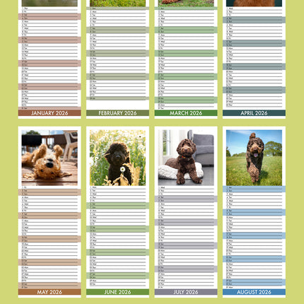 CalendarsRUs Labradoodle Slimline Kalender 2026