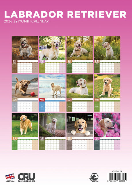 CalendarsRUs Labrador Retriever Blond A3 Kalender 2026