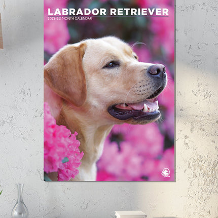 CalendarsRUs Labrador Retriever Blond A3 Kalender 2026
