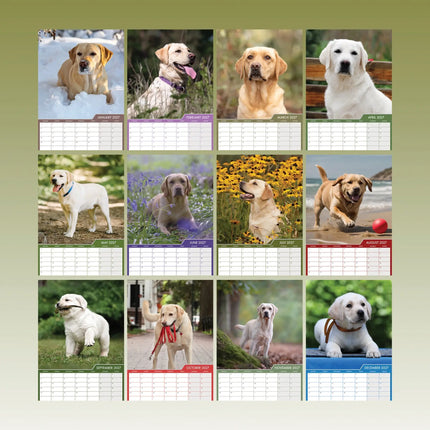 CalendarsRUs Labrador Retriever Blond A3 Kalender 2027