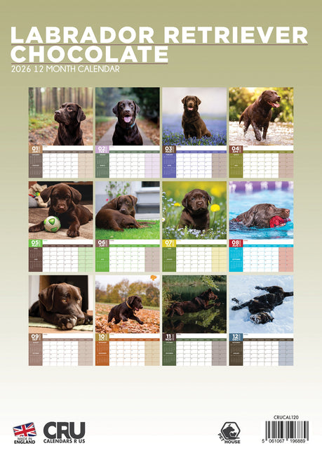 CalendarsRUs Labrador Retriever Bruin A3 Kalender 2026