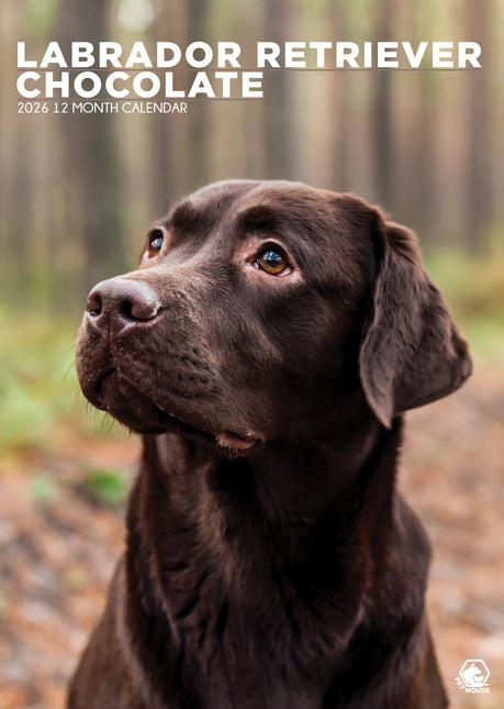 CalendarsRUs Labrador Retriever Bruin A3 Kalender 2026