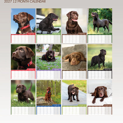 CalendarsRUs Labrador Retriever Bruin A3 Kalender 2027