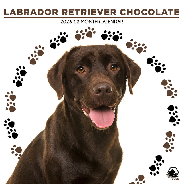 CalendarsRUs Labrador Retriever Bruin Kalender 2026