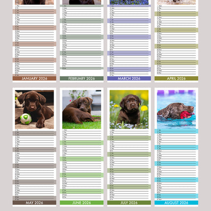 CalendarsRUs Labrador Retriever Bruin Slimline Kalender 2026