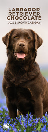 CalendarsRUs Labrador Retriever Bruin Slimline Kalender 2026