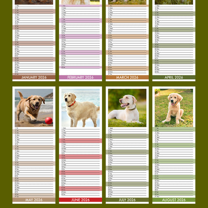 CalendarsRUs Labrador Retriever Slimline Kalender 2026
