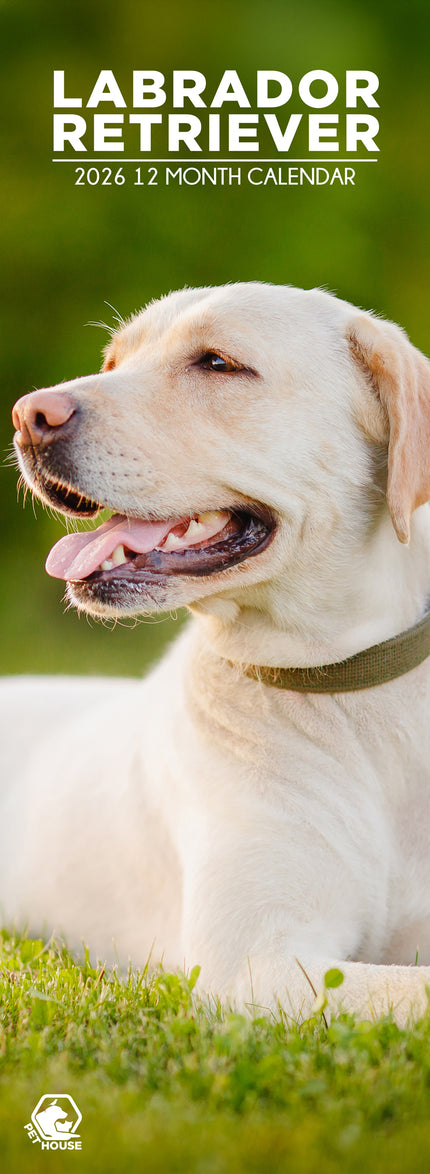 CalendarsRUs Labrador Retriever Slimline Kalender 2026