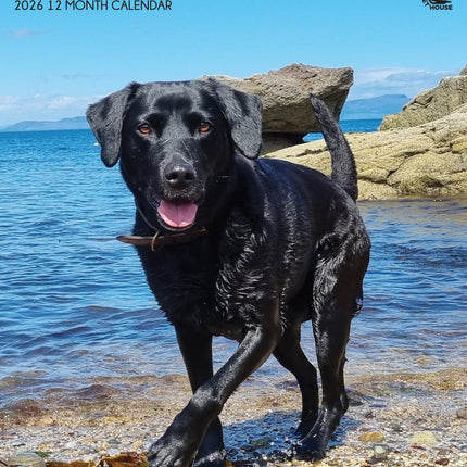 CalendarsRUs Labrador Retriever Zwart A3 Kalender 2026