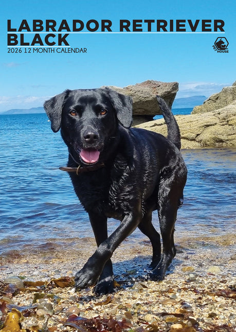 CalendarsRUs Labrador Retriever Zwart A3 Kalender 2026