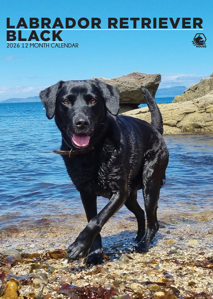CalendarsRUs Labrador Retriever Zwart A3 Kalender 2026